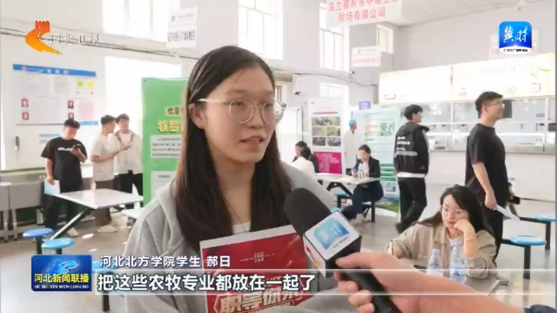 兔兔1.png